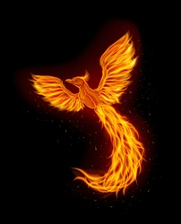Fire phoenix mascot logo design