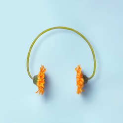 Minimal spring and music concept. Two orange daisy flowers making a headset on a simple blue background. Sounds of nature. 