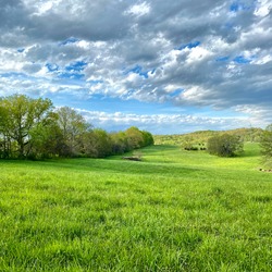 Spring hay field with intense sky