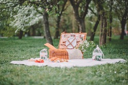 
a cozy picnic in nature, in the park, a summer picnic in the countryside,
picnic basket, photo shoot of flowering apple trees