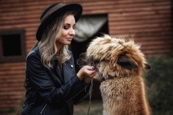 A girl in a black hat cutely holds the muzzle of a brown alpaca (llama) and gently looks at it. Love to the animals. Care 