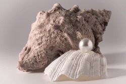 A beautiful seashell with an elegant large white pearl on a light background