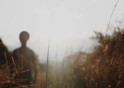 defocused silhouette of alien walking through grasslands, unfocused image, martian in reddish fields