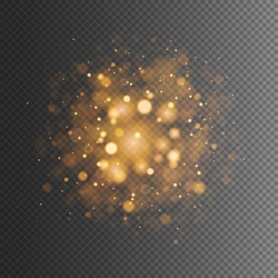 Abstract golden bokeh lights and sparkles. Isolated on a transparent background. Empty space for text. Detailed vector illustration. 