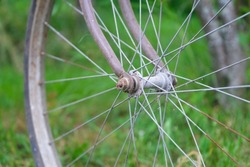 wheel of vintage dirty old bicycle against green plants and grass, metal bike rim, rims spokes and hub of retro bike