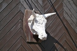 Plaster white head of bull sculpture on wooden wall