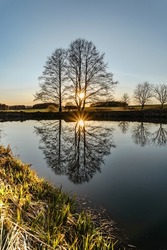 Beautiful old tree with sunrays reflected in water.Rural spring landscape with trees against blue sky at sunset.Peaceful and suitable atmosphere for meditation.Lone tree silhouette at dawn.Serenity