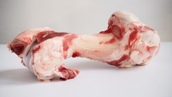 Close-up large raw bone of big animal cow or pig on white background. Bone for cooking broth. Food for dogs