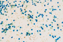 Confetti isolation on white. Bright colorful confetti isolated on white background.