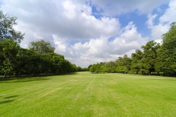 Green Lawn and Trees in a Peaceful Park