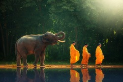 Thailand elephant walk behind monks or priests as a reflection of the shadow.