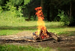 A beautiful campfire in the forest during the day. A high fire burns in a campsite by the river in beautiful nature.