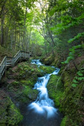 Serene Dickson Falls hiking trails in the middle of lush green dense forest at Fundy National Park, Alma, New Brunswick, Canada