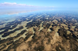 Microbial mats and stromatolites are an important part of Shark Bay's World Heritage status