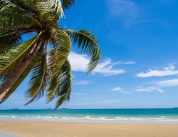 Landscape summer panorama front view tropical palm and coconut trees sea beach blue white sand sky background calm Nature ocean Beautiful  wave water travel 
