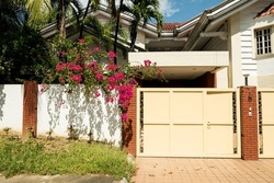Shot of a colonial style house entrance with  a beautiful decorative bougainvillea tree  hanging over the wall. 