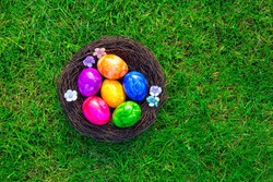 Colorful painted Easter eggs in nest on fresh green grass top view, Happy Easter Holliday concept background with copy space, spring and space for text