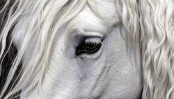 Brown,white horse fur, long magical mane background texture, Beautiful portrait of a horse closeup natural design