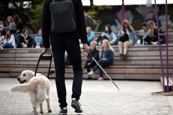 careful guide dog helping blind man in city, disabled guy has best friend gold retriever who help him to cross the streets and walk