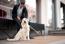 blind young man lovingly stroking guide dog, feeling gratitude for help, friend, full life of impaired, enjoying time.