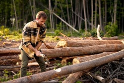 Logging wood. Strong caucasian male hands chopping the log with an ax. Hardworking Lumberman Man in forest is trying to split log with axe. Cutting wood with large sharp ax, wood working concept.