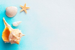 Seashell and starfish with summer mood