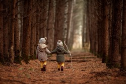 Children walk by the hand in the autumn pine forest