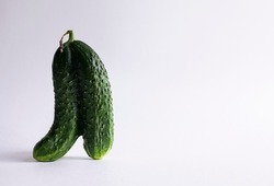 Ugly cucumber on a white background. Funny, unnormal vegetable or food waste concept. Image with copy space, horizontal orientation, side view.