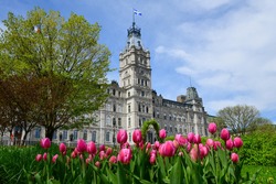 Low angle view of the empire style Parliament Building, home of Quebecs National Assembly in Quebec City with purple tulips in the foreground in the Parliament gardens