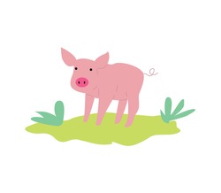Cute pink pig or piglet cartoon character or icon, flat vector illustration isolated on white background. Farmers meat production emblem or logo element.