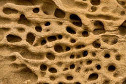 Sandstone rock along the cliffs. Rocks are full of holes by weathering and erosion. Weathered sandstone texture background