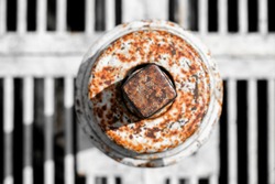 Rusted White Nut With Rusted Grill  Found On Spill Gates