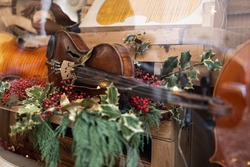 Handcrafted Violin on Wooden Shelf decorated with Butcher's Broom Plant.