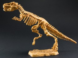dinosaur Tyrannosaurus T Rex statuette skeleton on black background, t-rex toy