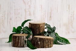 wood slice podium and green leaves