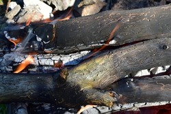 Burning wood ablaze hot fire close up