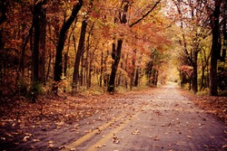 A leafy autumn road in Arkansas
