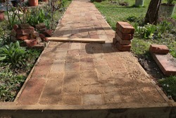 Close up of brick path construction of reclaimed clay antique vintage house cream bricks to build straight garden pathway to greenhouse with plant borders and grass lawn each side in Spring sunshine 