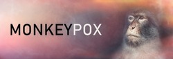 Monkeypox 2022 virus. Monkeypox outbreak concept.Monkeypox is a viral zoonotic disease. Monkeys may harbor the virus and infect people.Virus transmitted to humans from animals. Copy space. Banner