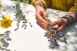 Alternative medicine. Collection and drying of herbs. Woman holding in her hands a bunch of sage flowers.Herbalist woman preparing fresh scented organic herbs for natural herbal methods of treatment.