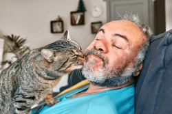 Tabby cat licking face of bearded man in living room. Human-animal relationships. Pets care. Funny home pet. Cat day. Selective focus. Adopted pet.