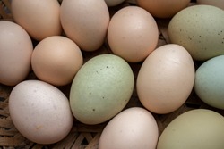 Fresh eggs of all colors are in the basket