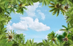 
Beautiful green palm trees on a background of light blue sky. Art ceiling. 3D Wallpaper.
