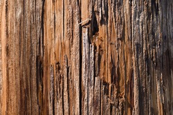 close up of wood telephone pole