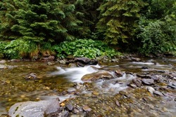 long exposure mountain river flowing between rocky shores in Carpathians mountains. Wild mountain river flowing through stone boulders, Water clear stream river flowing in the deep forest,