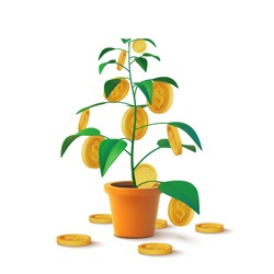 Realistic Money tree with gold coins dollars. Finance and banks, savings and investments. Vector illustration.