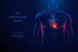 The cardiovascular system. Vector isolated heart with pain center. Low poly wireframe. Polygonal 3D human body and organ on dark background. Medicine concept with geometry triangle.
