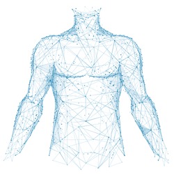 Polygonal abstract isolated body of human on white background. Medicine and health concept. Blue closeup top of body of young man. Low poly wireframe digital technology innovation vector illustration.