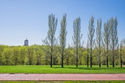 Beautiful green park & blue clear sky landscape. A line of tree ranges along a red brick path. A straight road in front of the a line of tree run horizontally across the bright flat green field. 