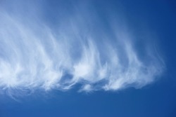 Curved feather clouds. White haze in the sky. Delicate scattered clouds.